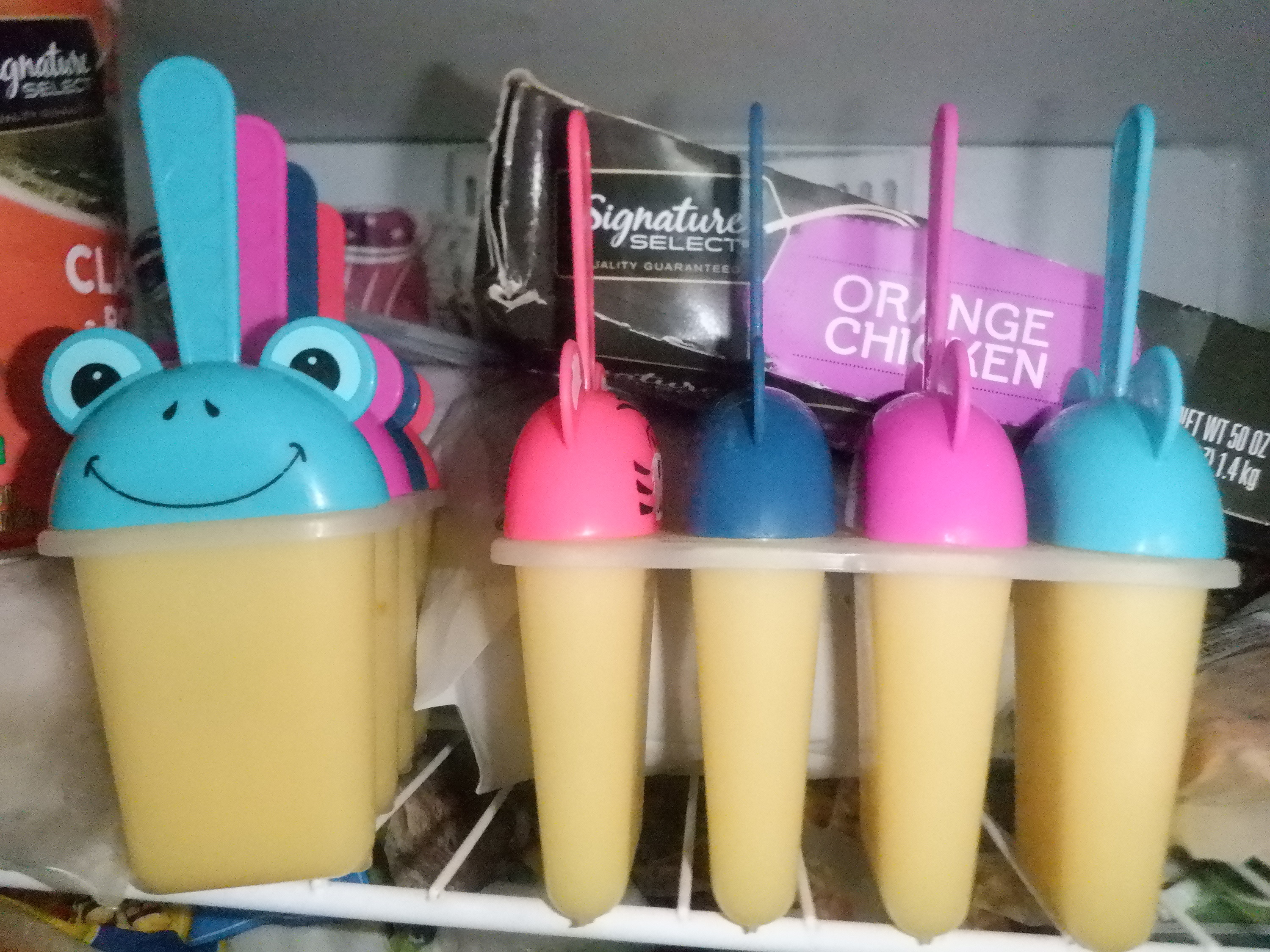 Photo I took of the popsicle molds in the freezer