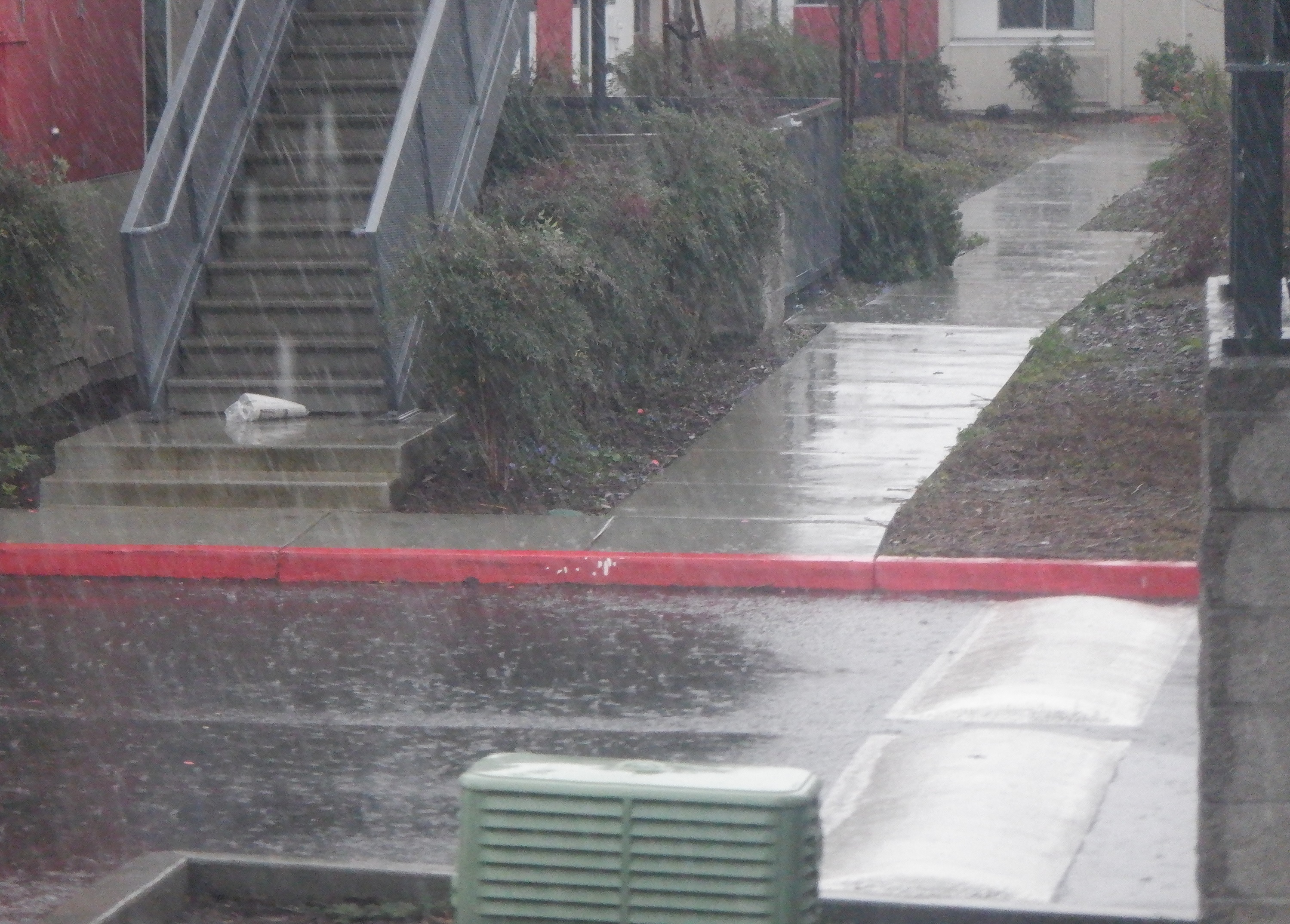 Photo I took of the rain from my patio door. Photo I took of the rain from my patio door.
