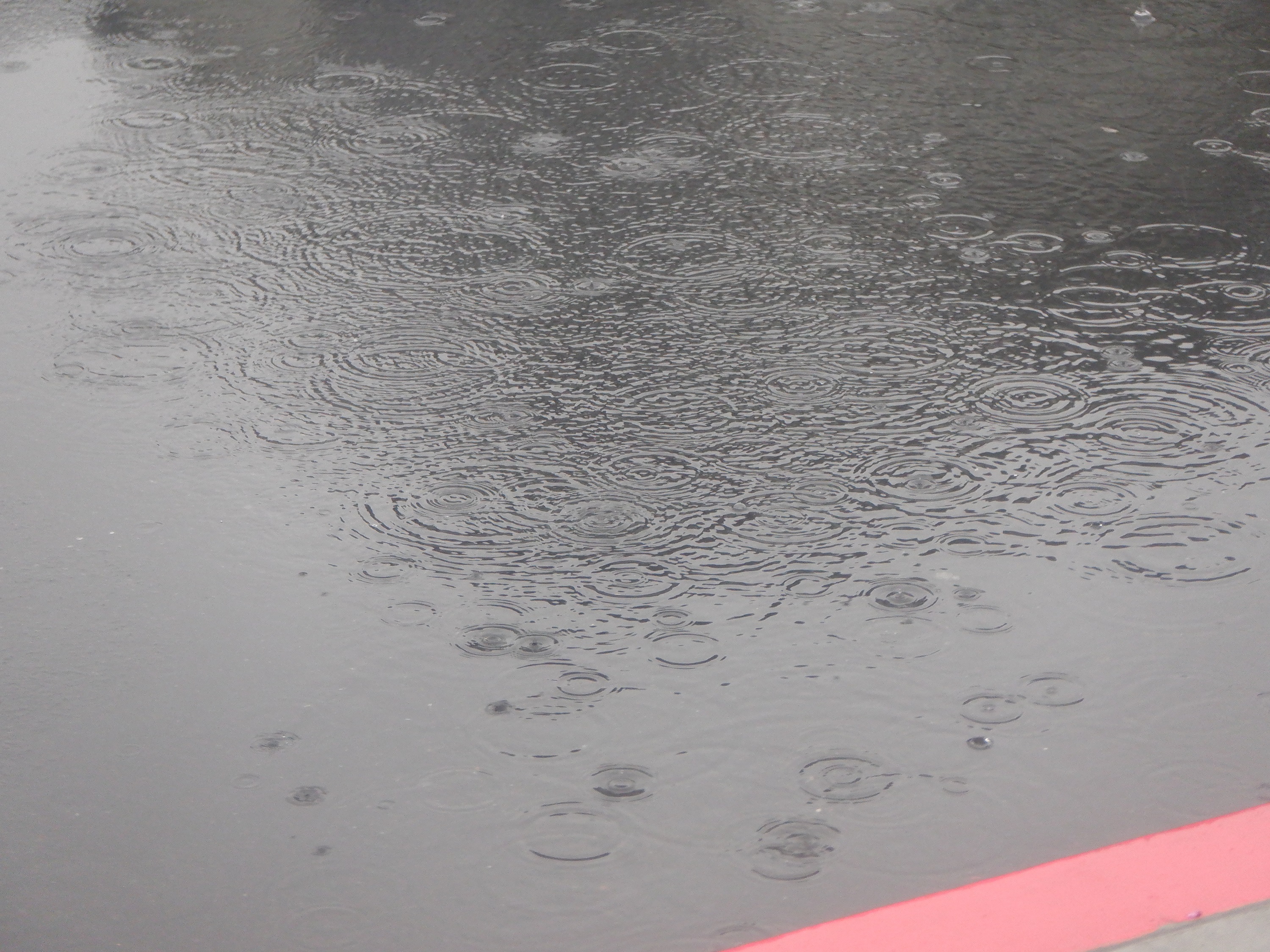 Photo I took while walking in the rain Photo I took while walking in the rain