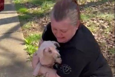 Dog reunion story from South Carolina Dog reunion story from South Carolina