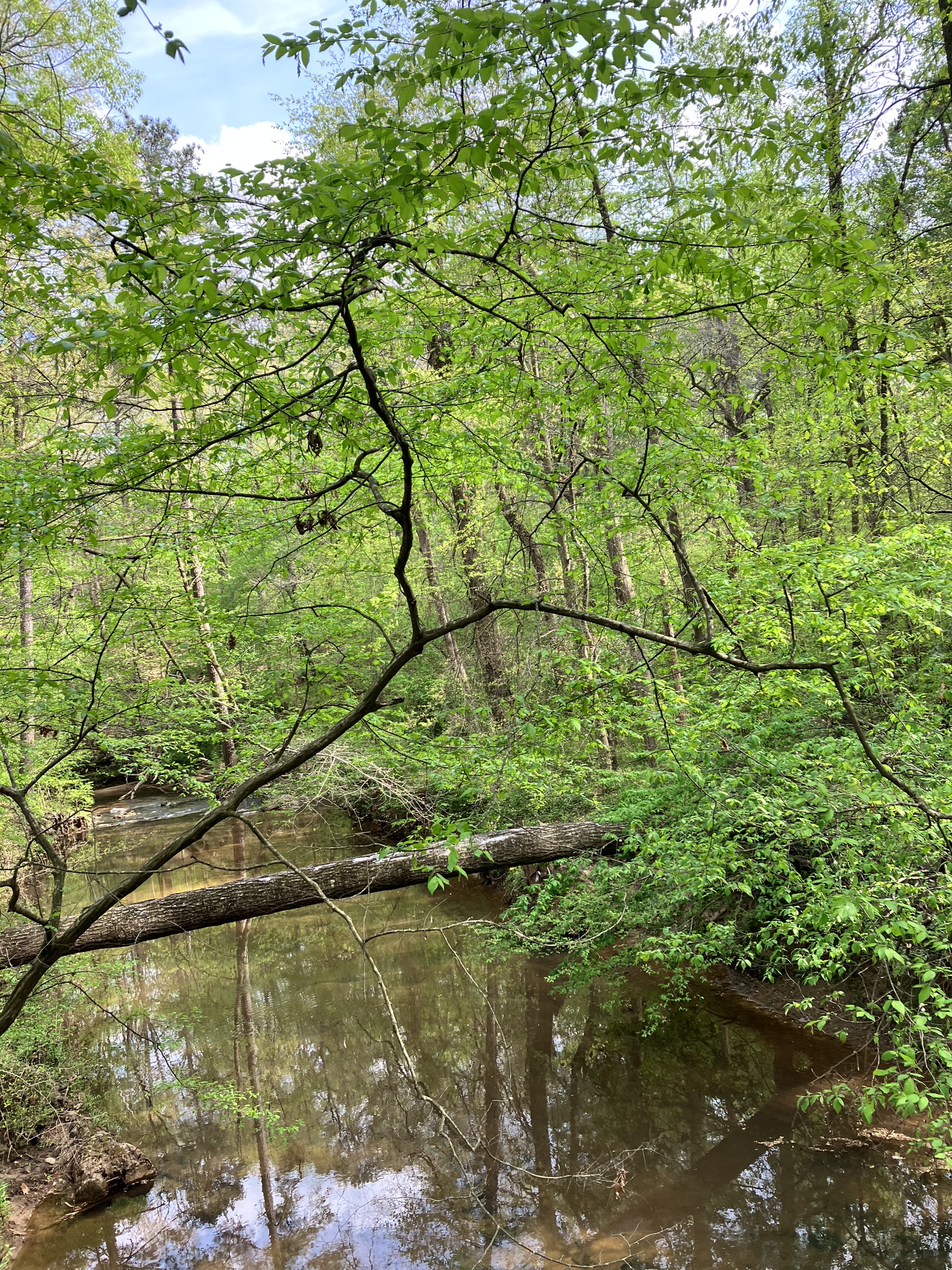 My picture at the creek 