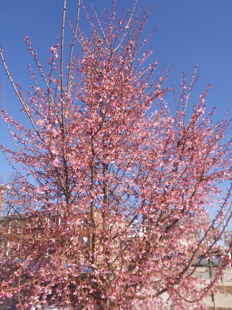 Photo Credit: I snapped this picture last month or so. Photo Credit: I snapped this picture last month or so.