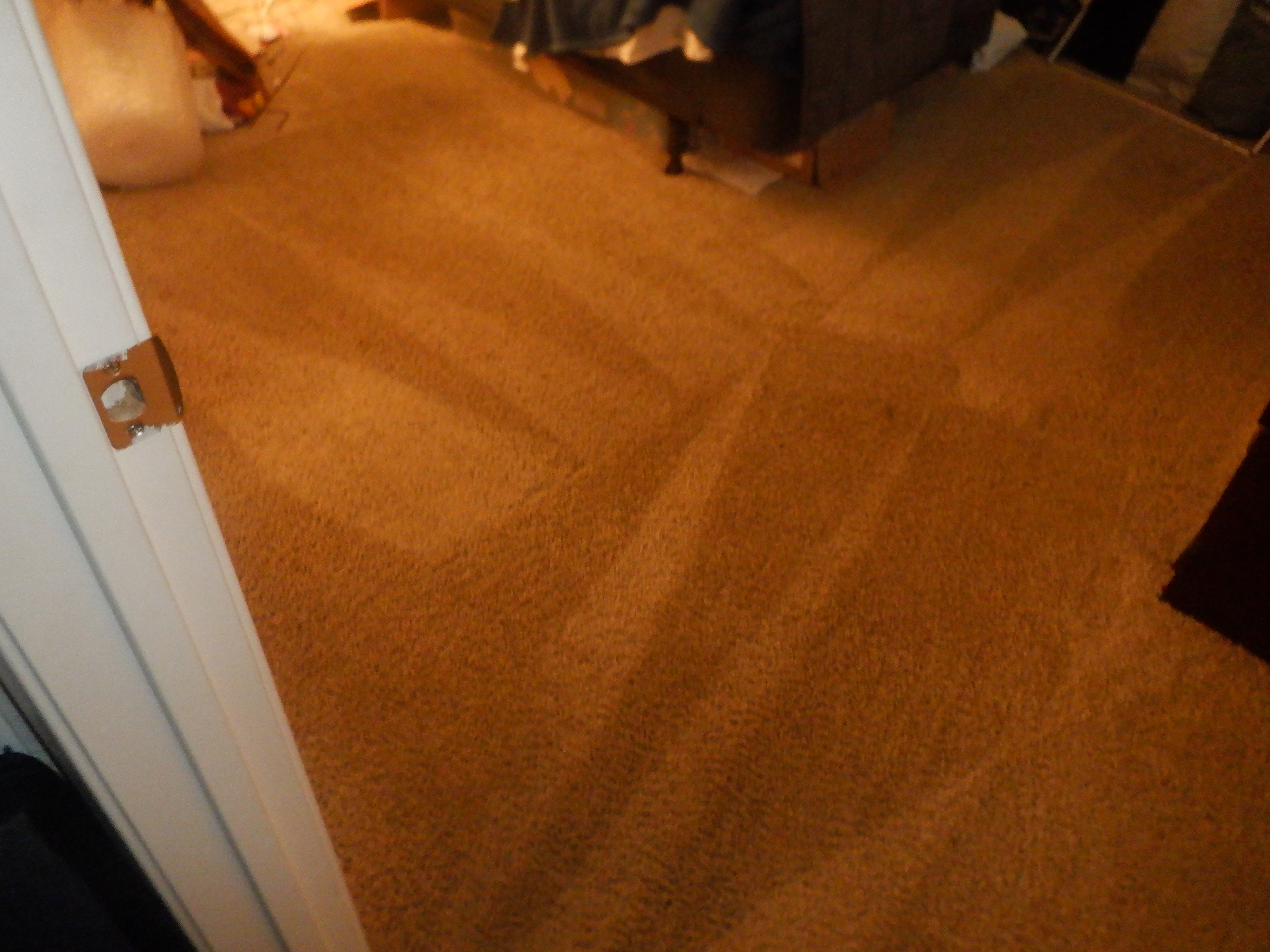Photo I took after the carpet cleaners left Photo I took after the carpet cleaners left