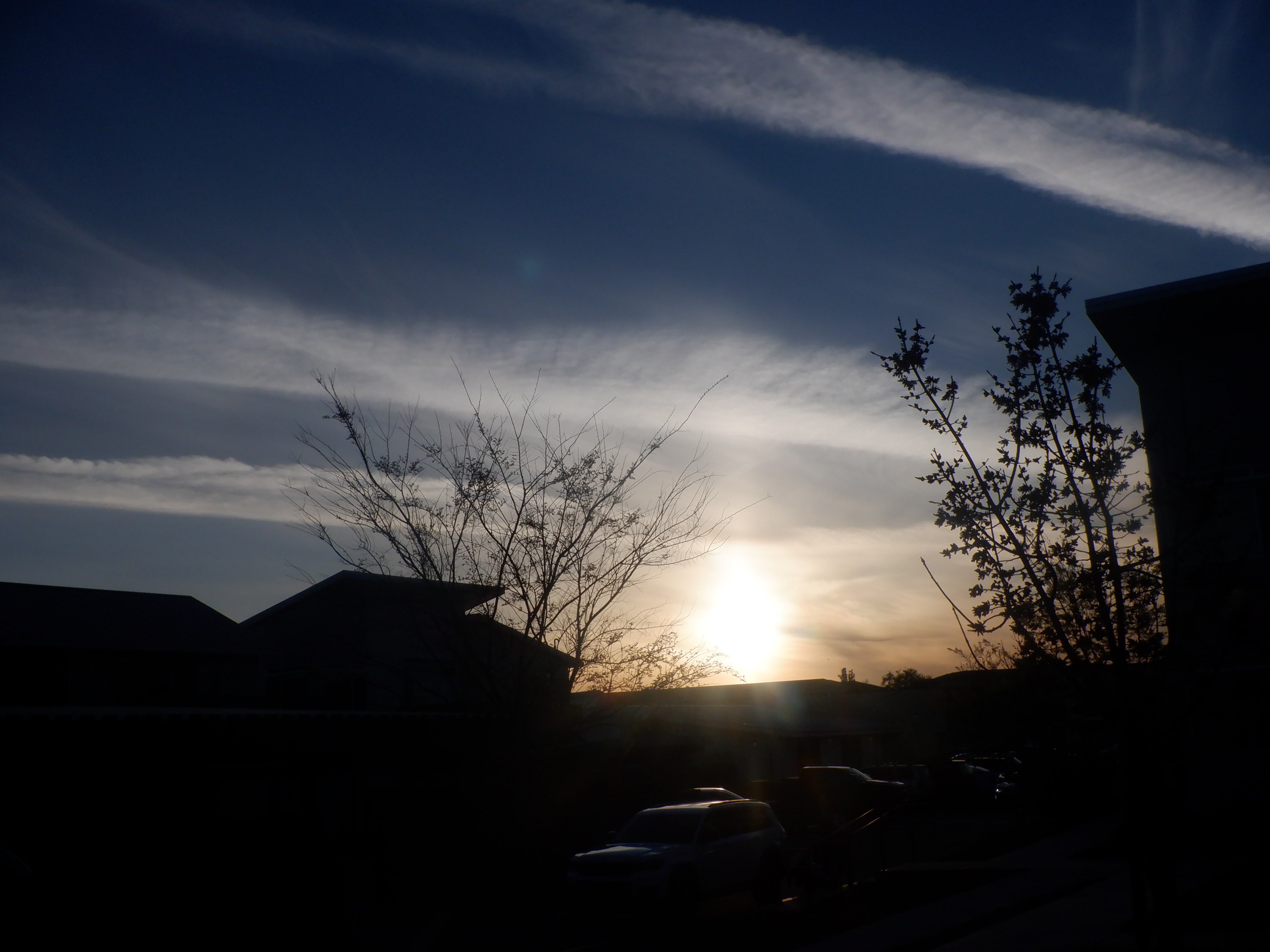 Photo I took this evening. Photo I took this evening.
