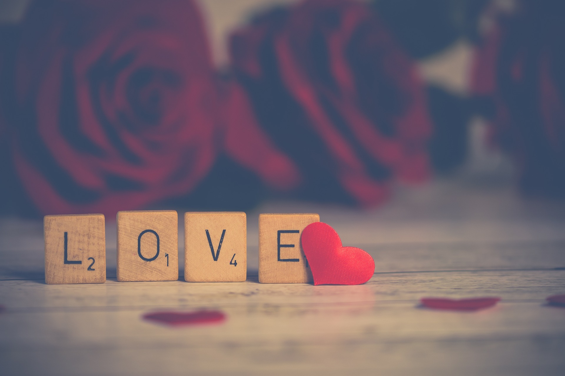 Photo by Ylanite Koppens from Pixabay Photo by Ylanite Koppens from Pixabay
