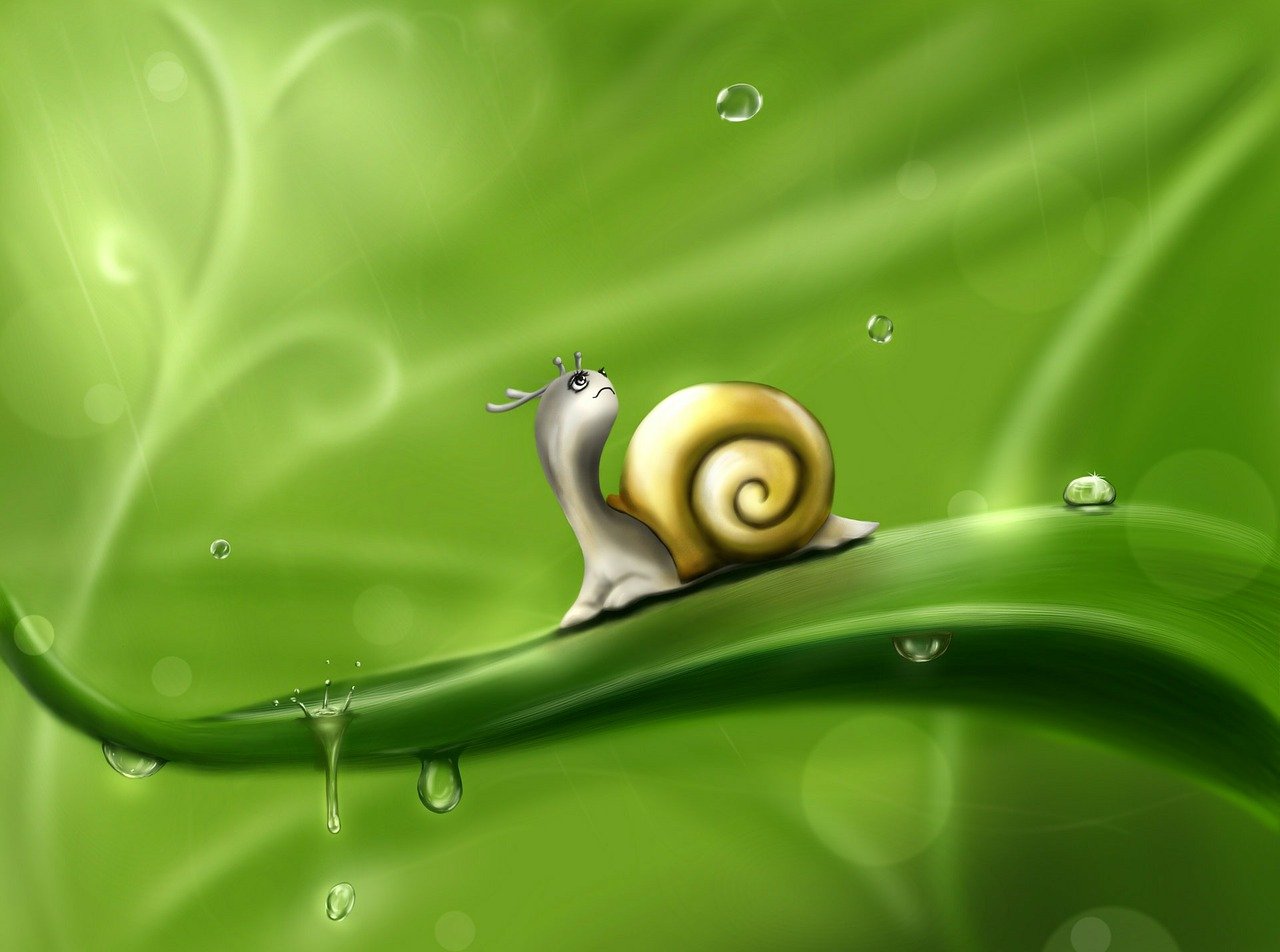Photo taken by Larisa Koshkina from Pixabay Photo taken by Larisa Koshkina from Pixabay
