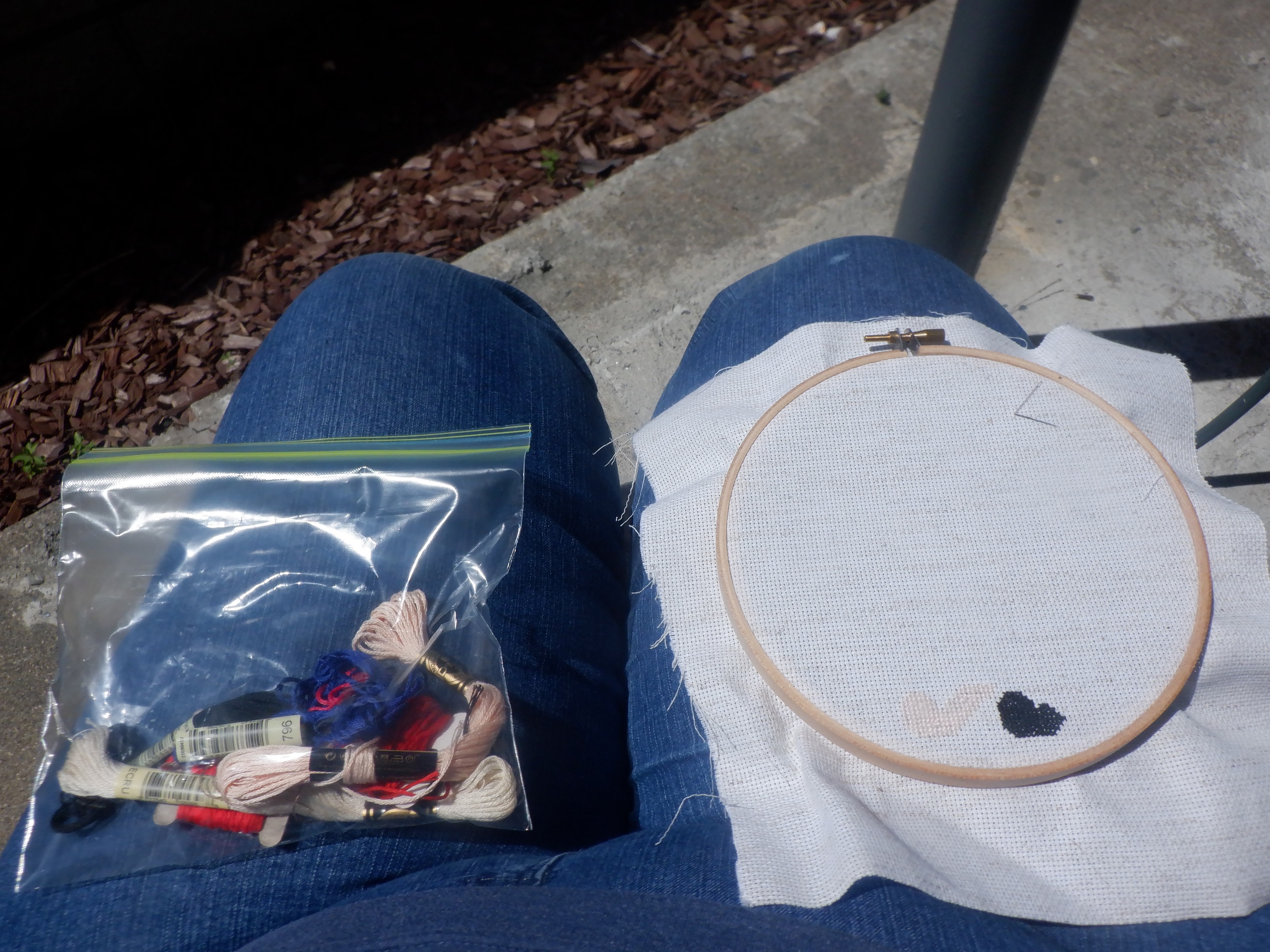 Photo I took before coming in from stitching on the patio Photo I took before coming in from stitching on the patio