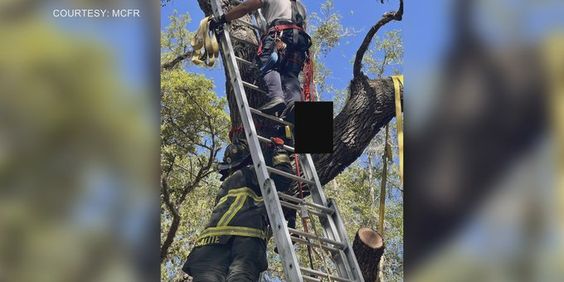 Firefighters in Fort McCoy rescue a male tree trimmer accident victim on Sunday.