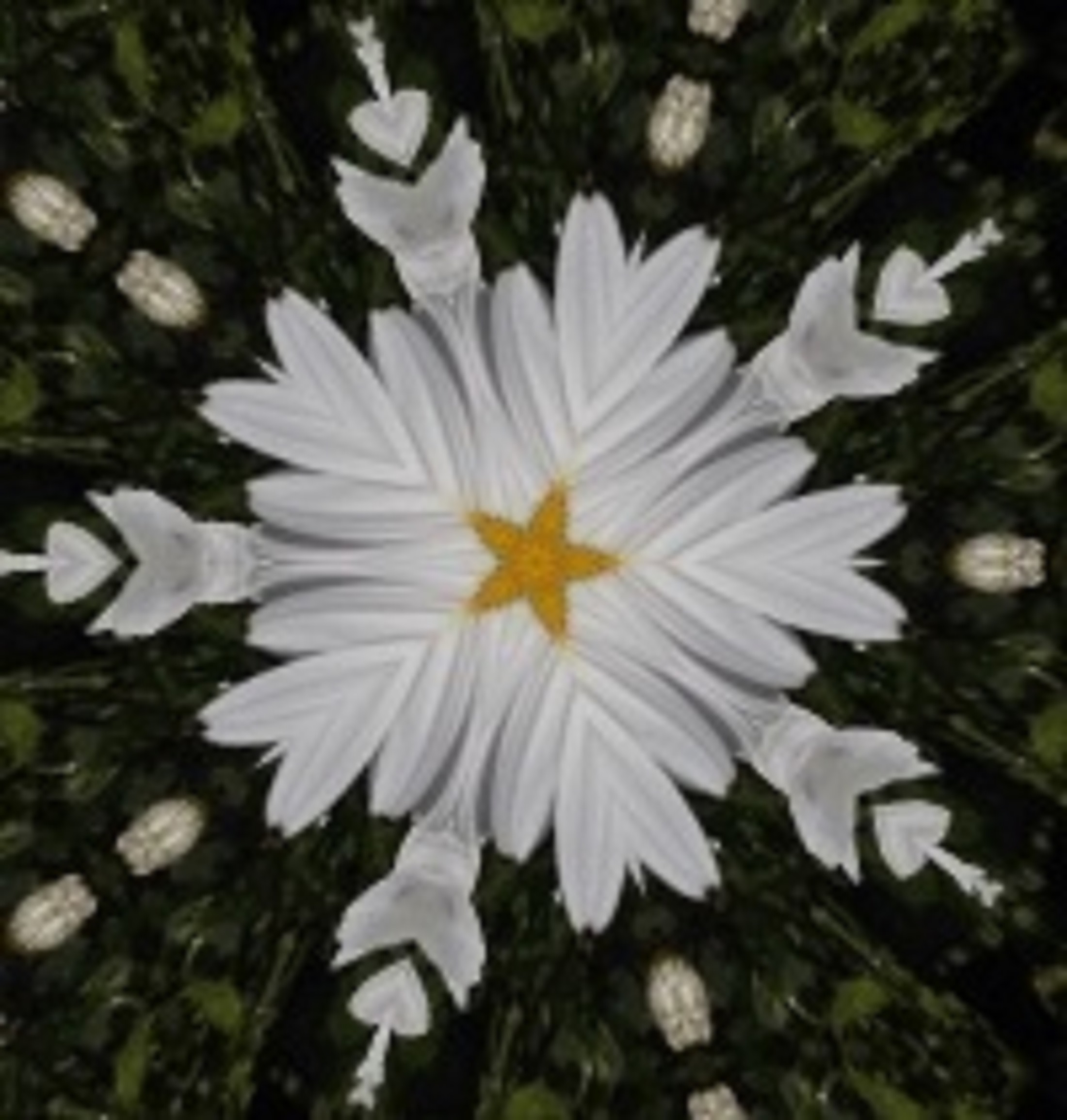 Photo taken 2014 w Kaleidoscope effect on LunaPic.com Photo taken 2014 w Kaleidoscope effect on LunaPic.com