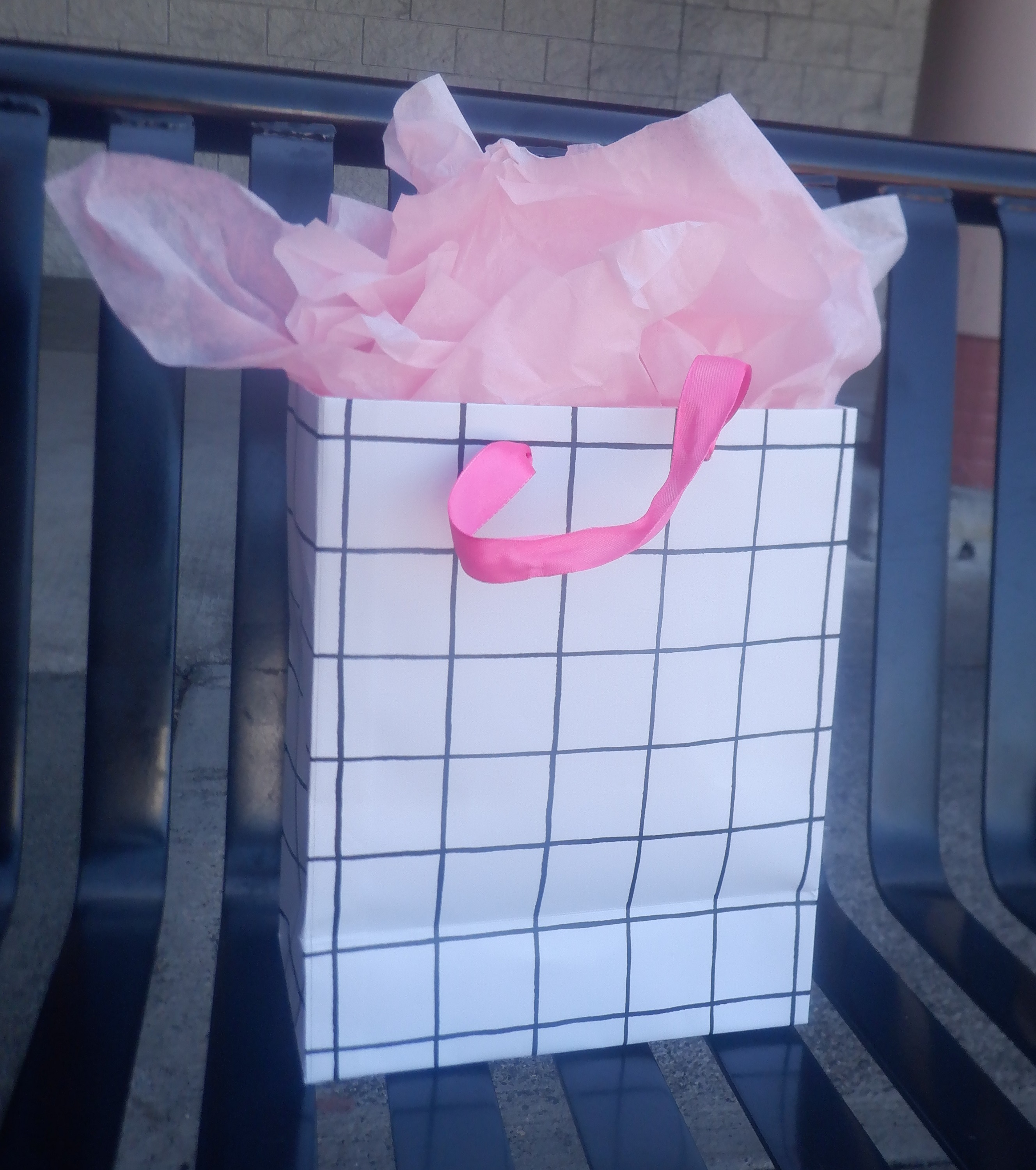 Wrapped gift for my boss that I set on the bench outside the Hallmark Store Wrapped gift for my boss that I set on the bench outside the Hallmark Store