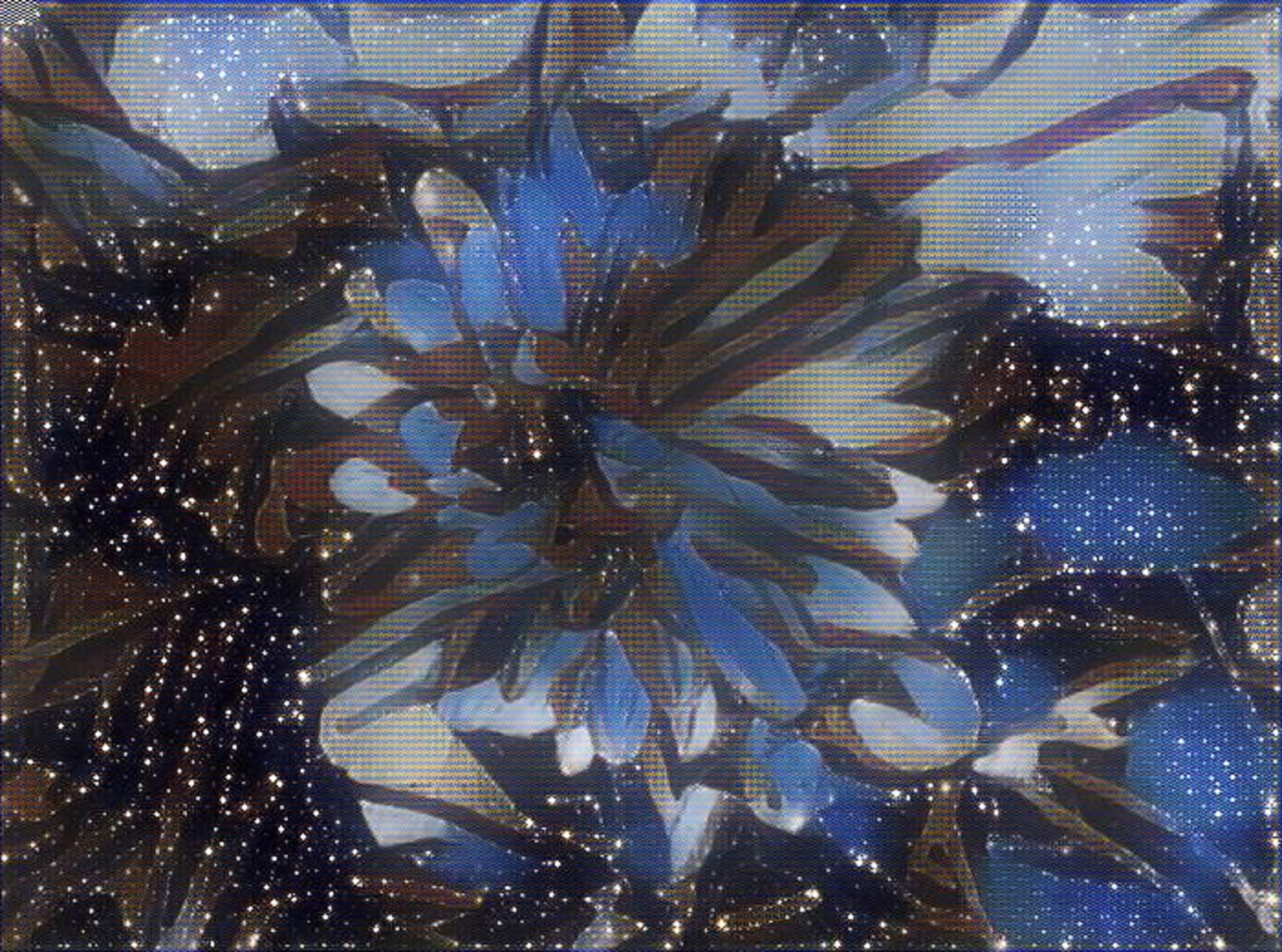 Photo taken by me w illusion and space effects on LunaPic.com 10/2016 Photo taken by me w illusion and space effects on LunaPic.com 10/2016