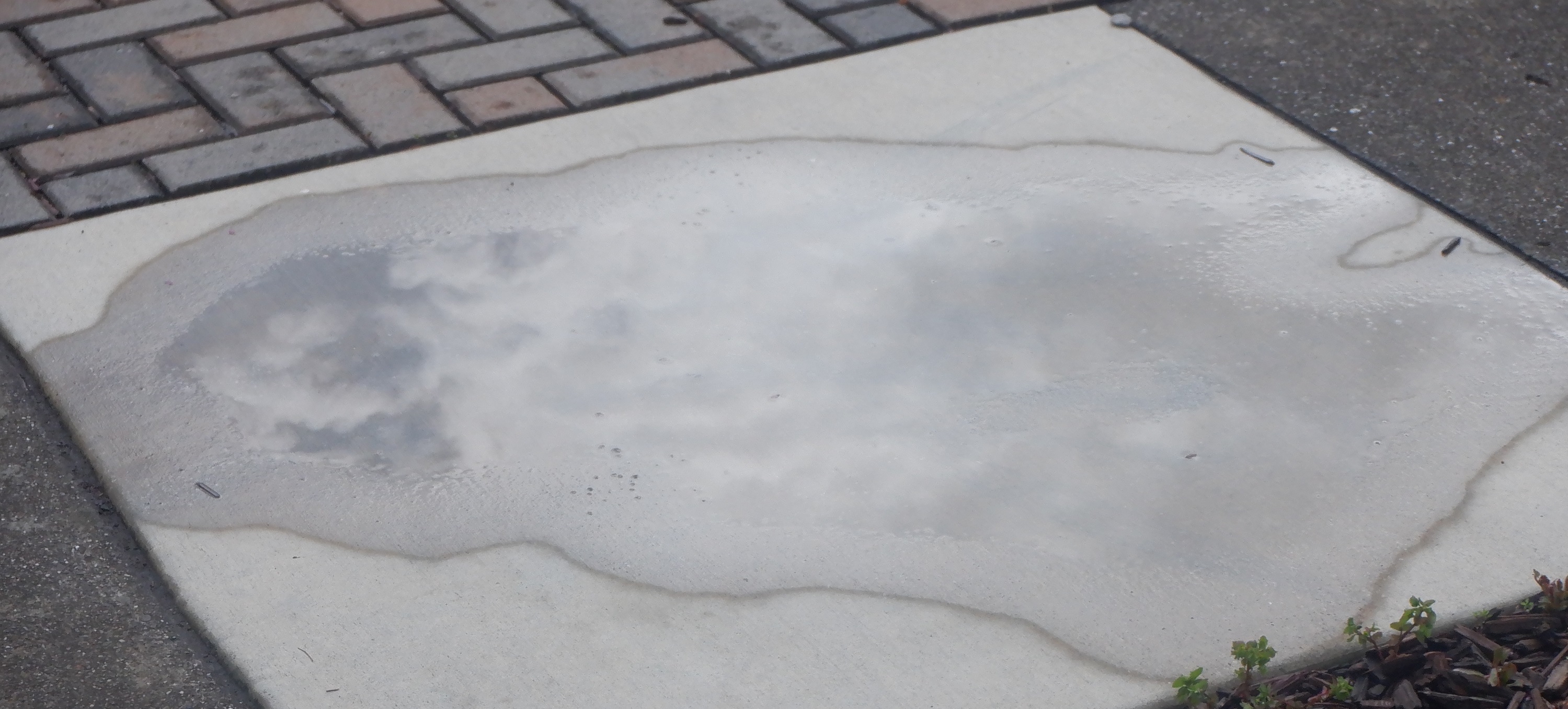 Cloud reflection in a puddle 5-4-23
