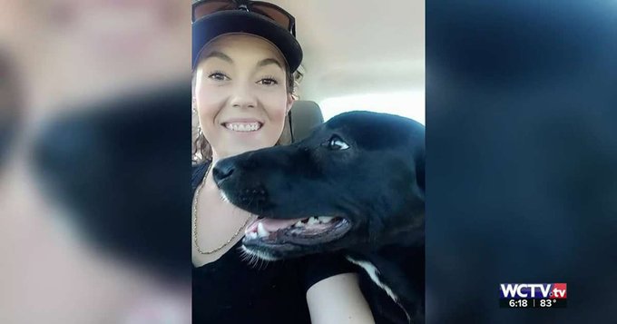 Brittany Stewart rescues a dog seen on the streets in Tallahassee Florida. Brittany Stewart rescues a dog seen on the streets in Tallahassee Florida.