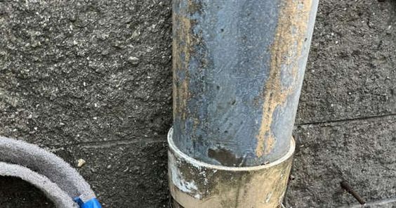 Drain pipe rescue of a kitten from Bridgewater New Jersey Drain pipe rescue of a kitten from Bridgewater New Jersey