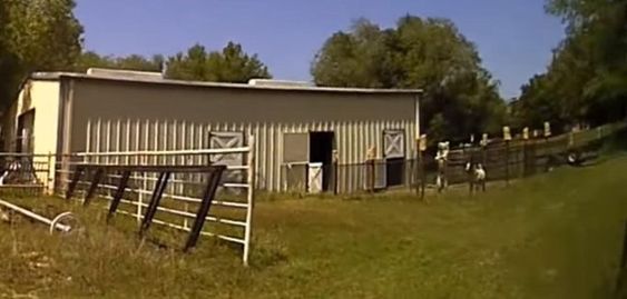 A farm in Enid Oklahoma where a goat cried for help last Tuesday A farm in Enid Oklahoma where a goat cried for help last Tuesday