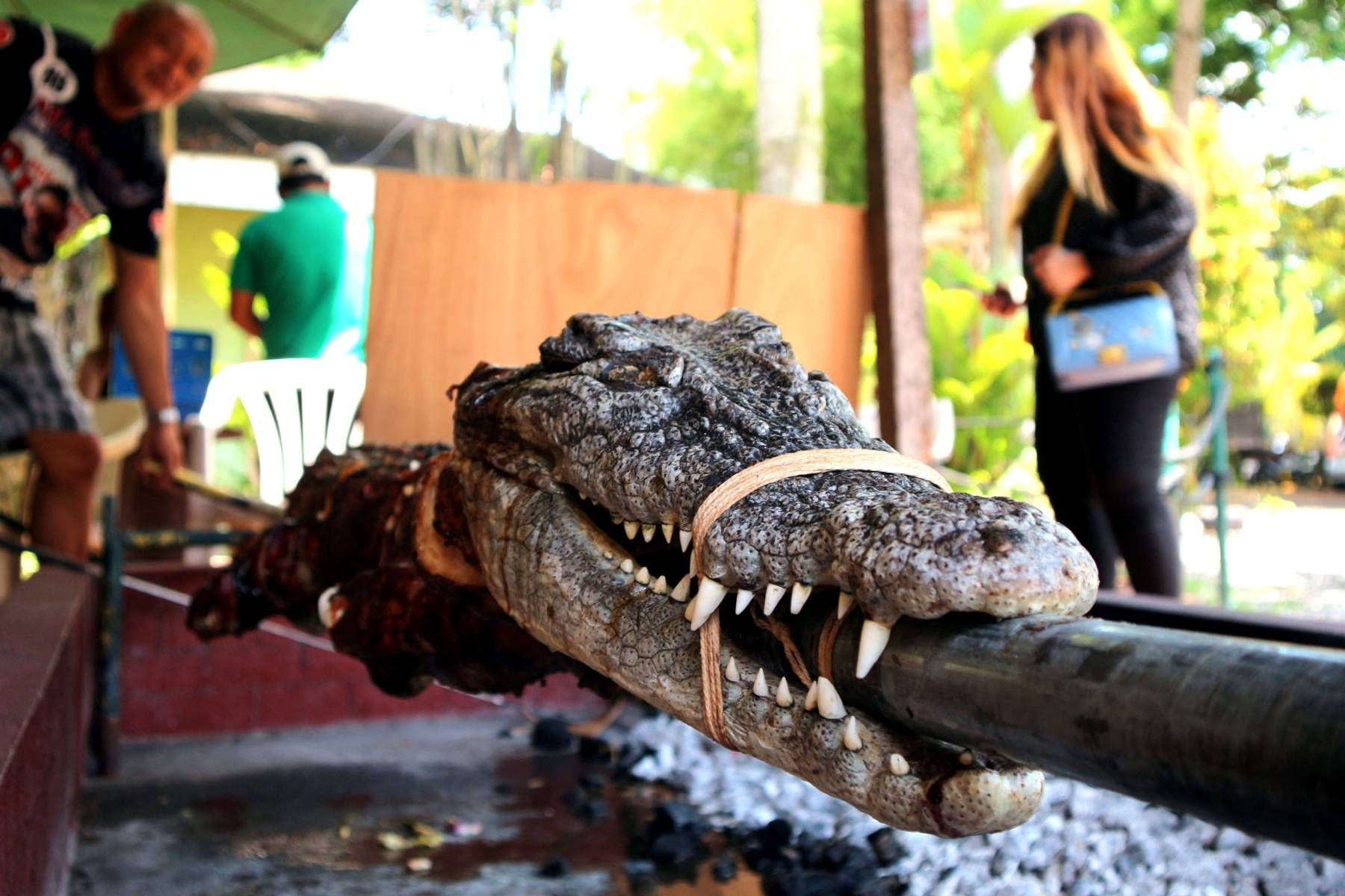 Croc lechon an extraordinary delicacy 
