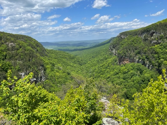 Cloudland Canyon State Park, Georgia. Photo taken by and the property of FourWalls. Cloudland Canyon State Park, Georgia. Photo taken by and the property of FourWalls.