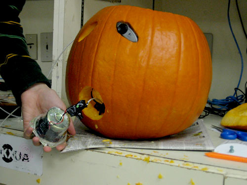 Halloween - If you've got a little time on your hands, there's no reason you have to settle for that plastic shell around your computer components. Case in point: this Halloween project at the University of Arkansas computer store.  Here, holes have been drilled for the mouth and eyes, which are being fitted with Webcams and a speaker--the latter shrink-wrapped to keep it dry. In a bit, the pumpkin will be fixed up with a Mac Mini brain (1.83GHz Intel Core Duo).  Credit: University of Arkansas computer store staff