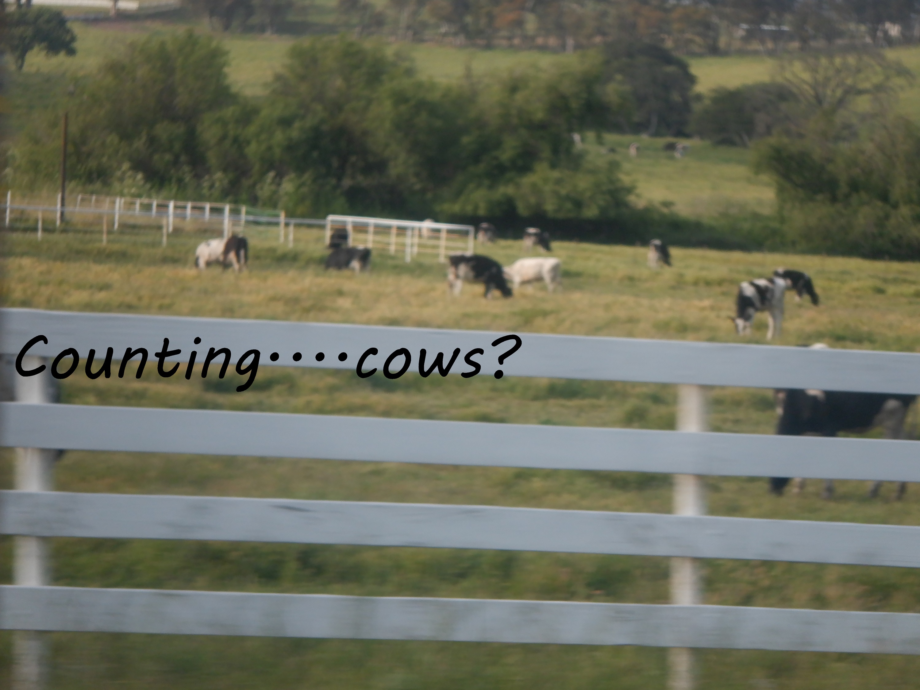 Photo taken by me with lettering added on Microsoft Paint Photo taken by me with lettering added on Microsoft Paint