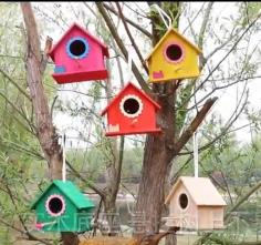 bird house