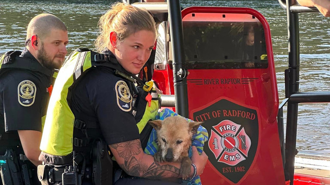 Radford City firefighters rescue a dog that was in the New River Radford City firefighters rescue a dog that was in the New River