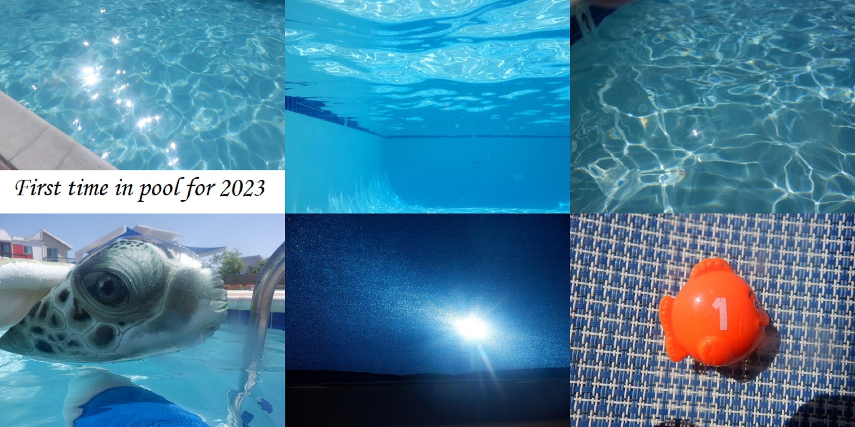 Photos I took at the pool 6-4-23