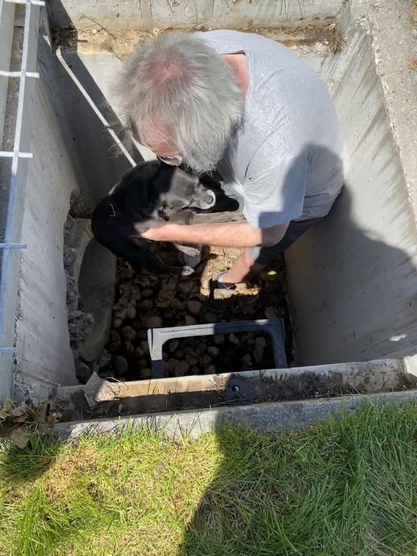Utility workers rescue a Chihuahua in trouble in Colorado. Utility workers rescue a Chihuahua in trouble in Colorado.