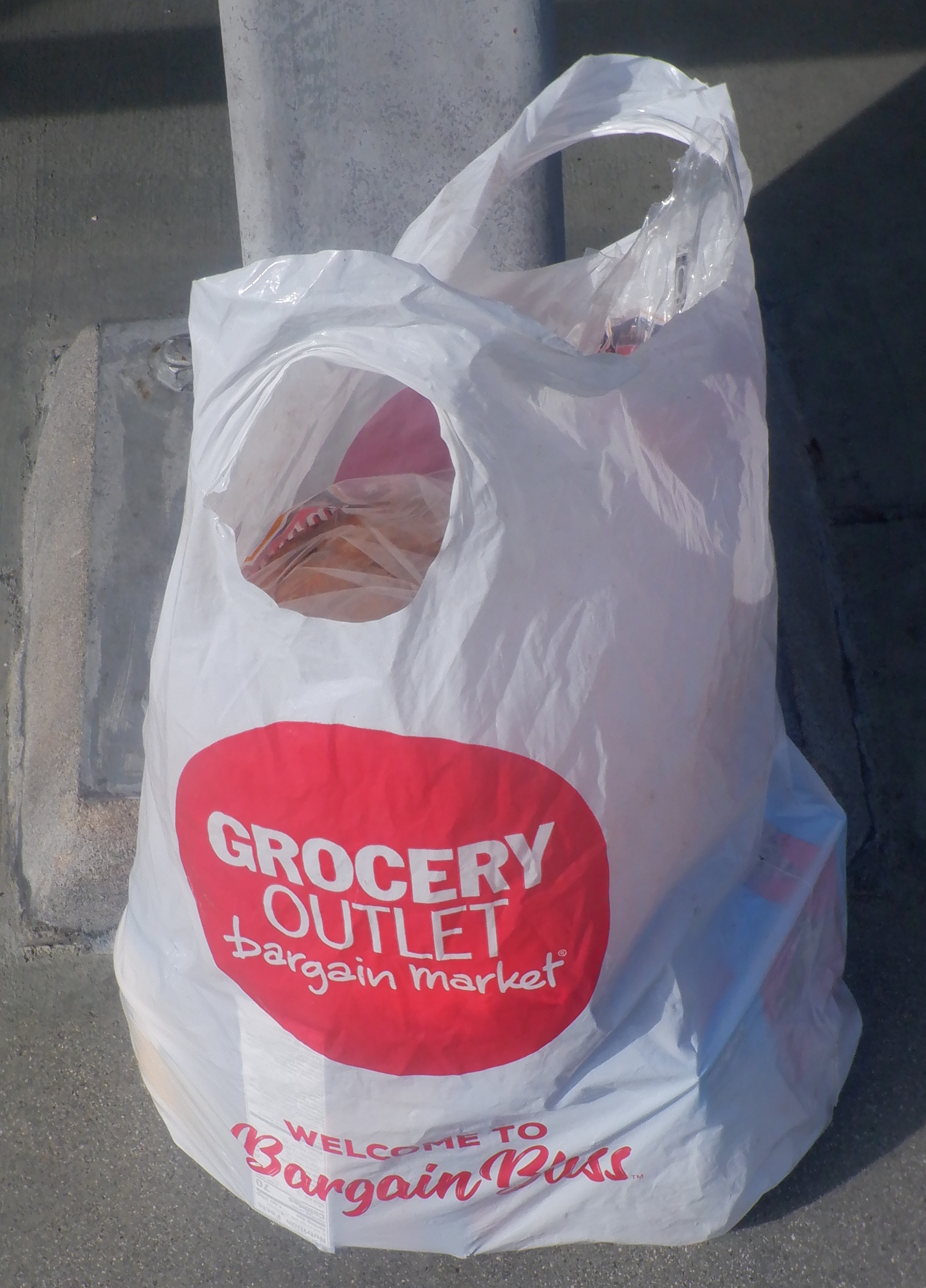 Photo I took of the bag with my groceries in it at the bus transit mall