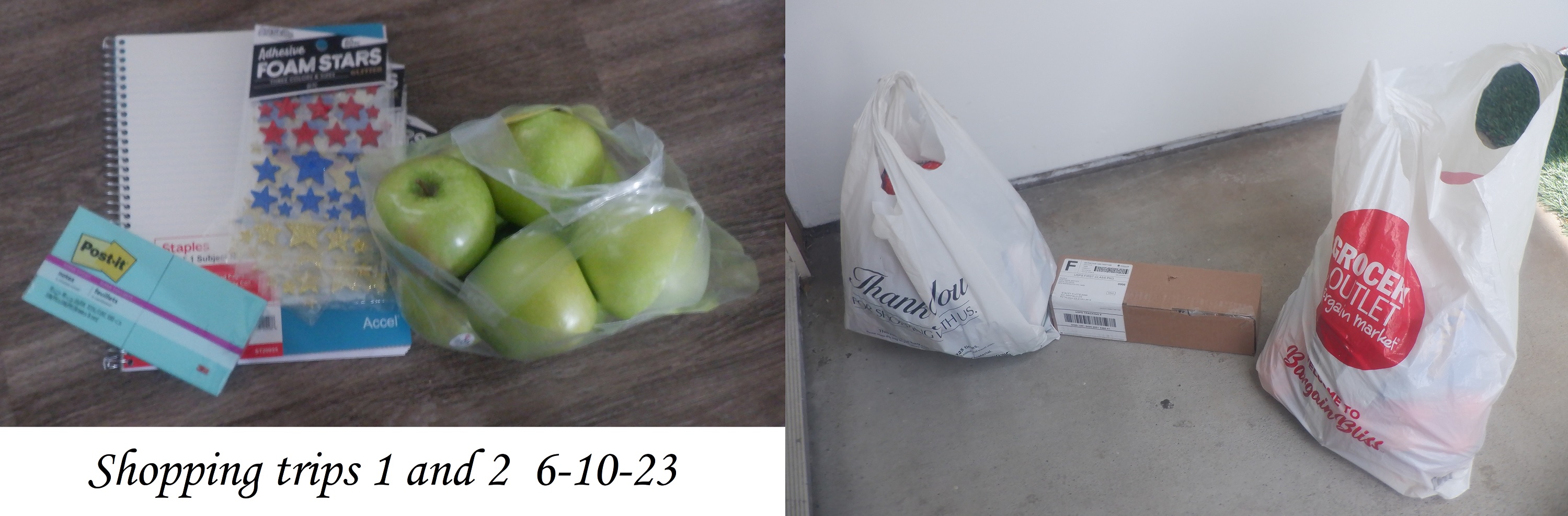 Photos I took of things from my two shopping trips and package at the door when I got home the second time