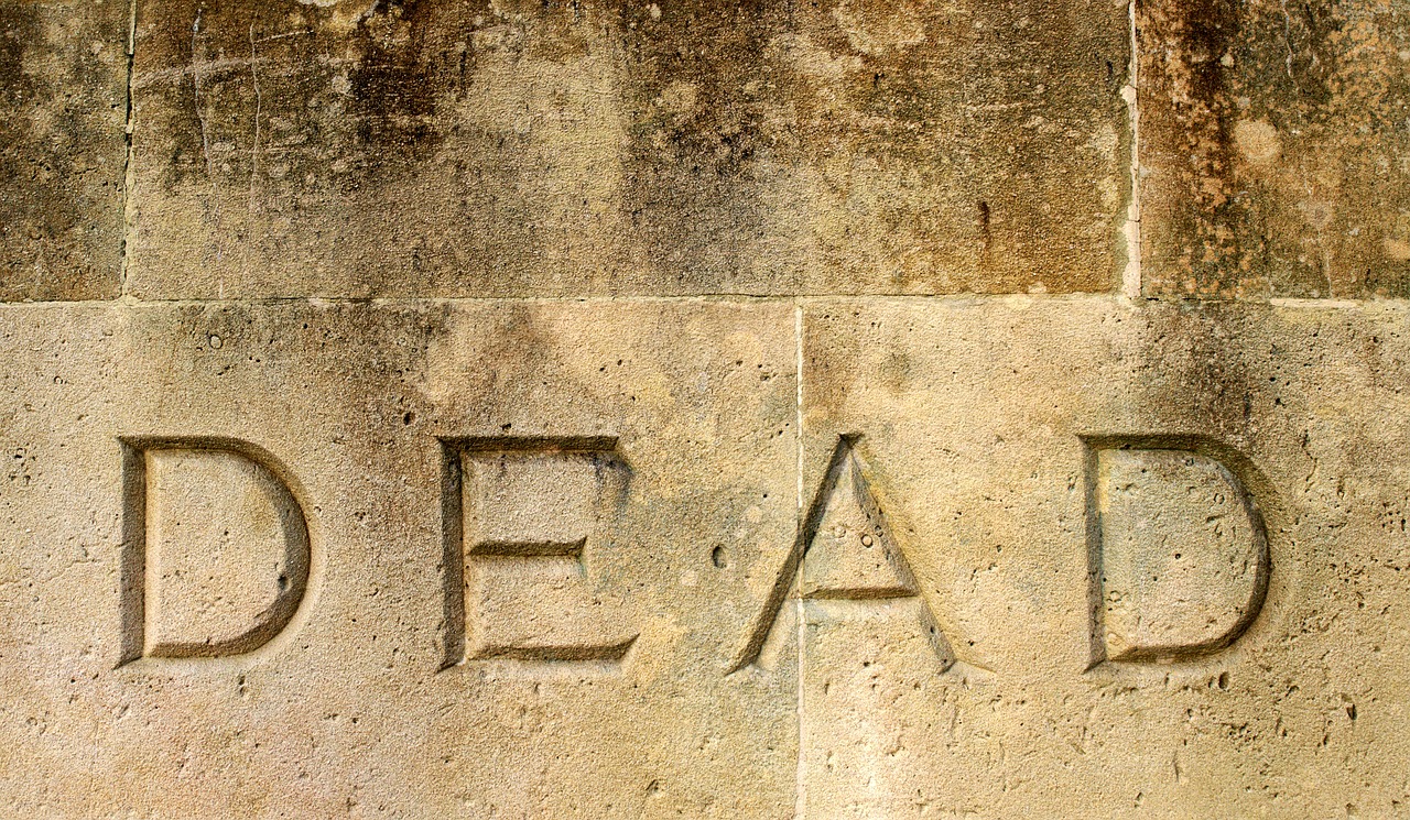 Do not be dead to humility in your life or you will be dead to your real self too Do not be dead to humility in your life or you will be dead to your real self too