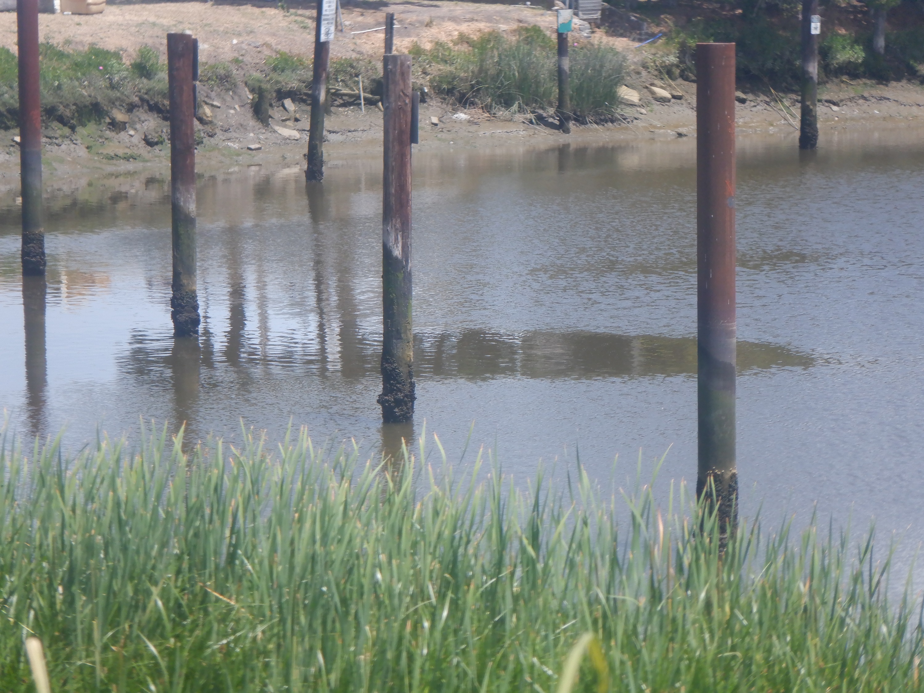 Photo I took yesterday by the river downtown Photo I took yesterday by the river downtown