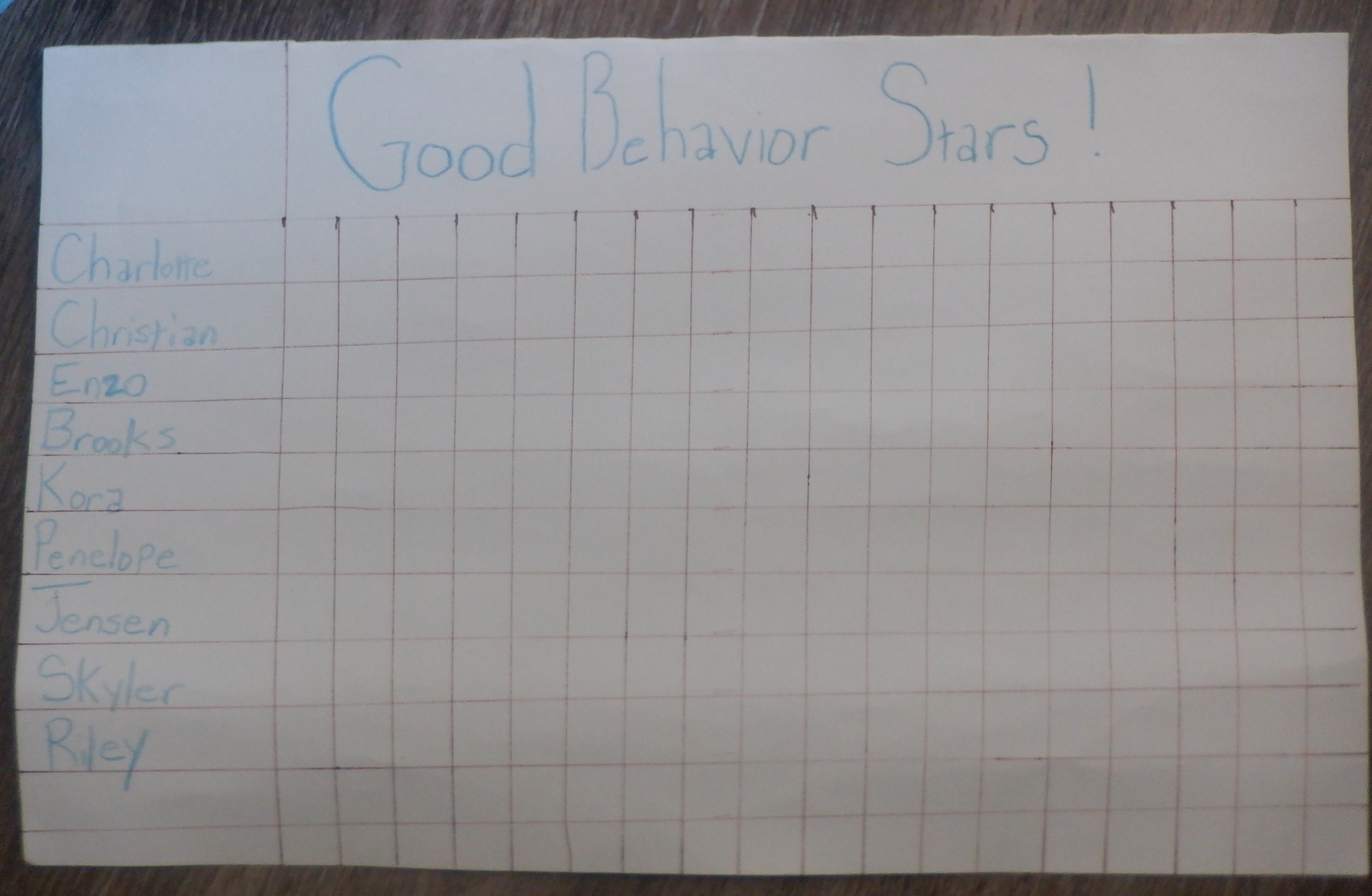 Photo I took of the chart I made Photo I took of the chart I made