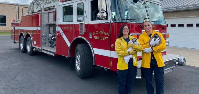 Two female firefighters in Utah with baby raccoons that they rescued Two female firefighters in Utah with baby raccoons that they rescued