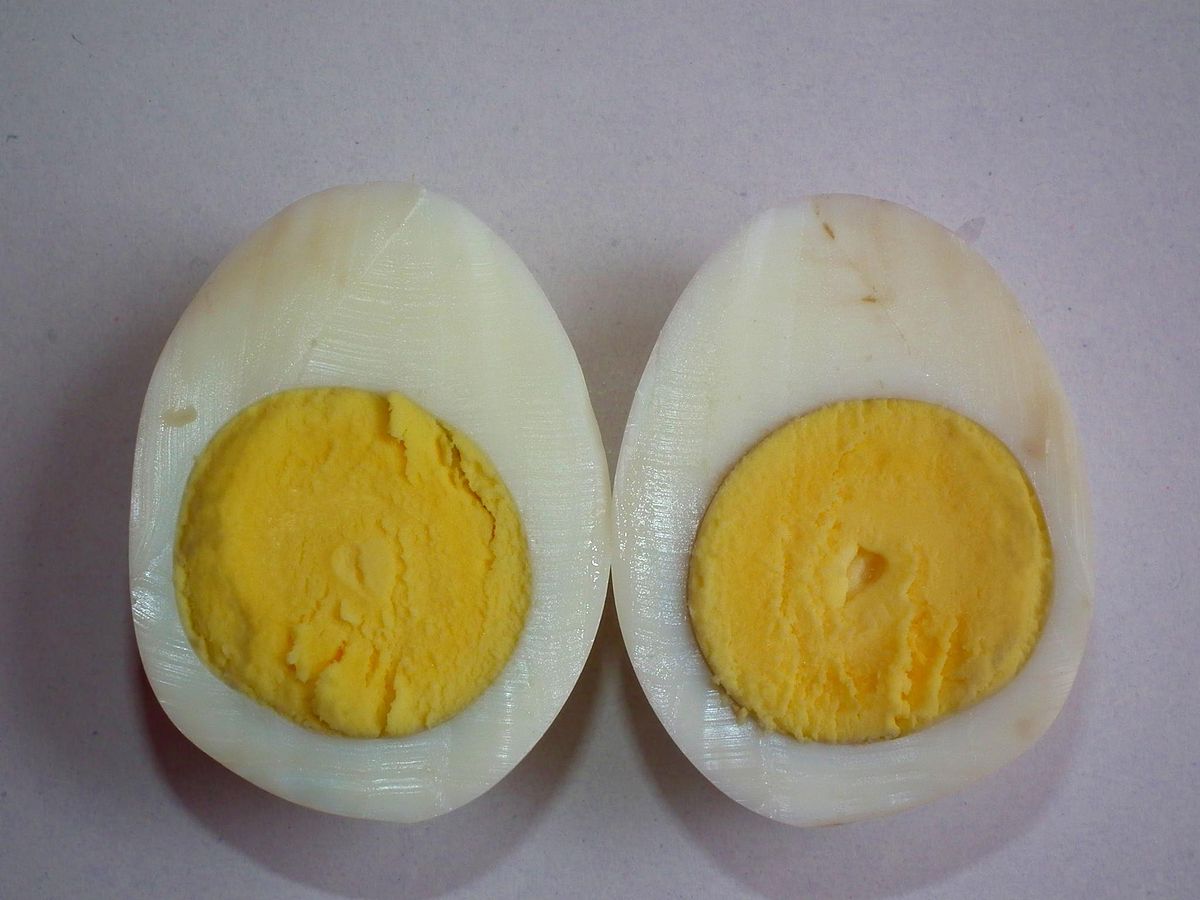 https://upload.wikimedia.org/wikipedia/commons/a/a4/Boiled_Egg_-_Crossection.jpg