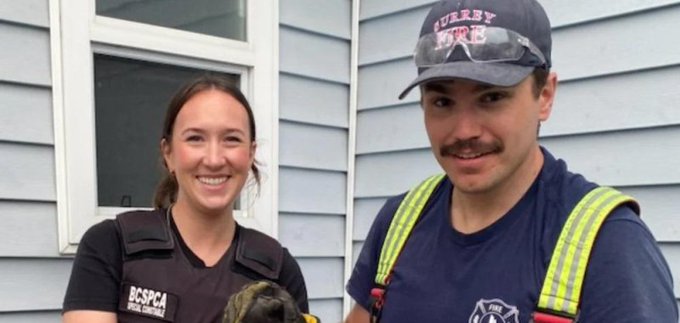 A BC SPCA employee and a Surrey firefighter posing with a kitten that was rescued 
