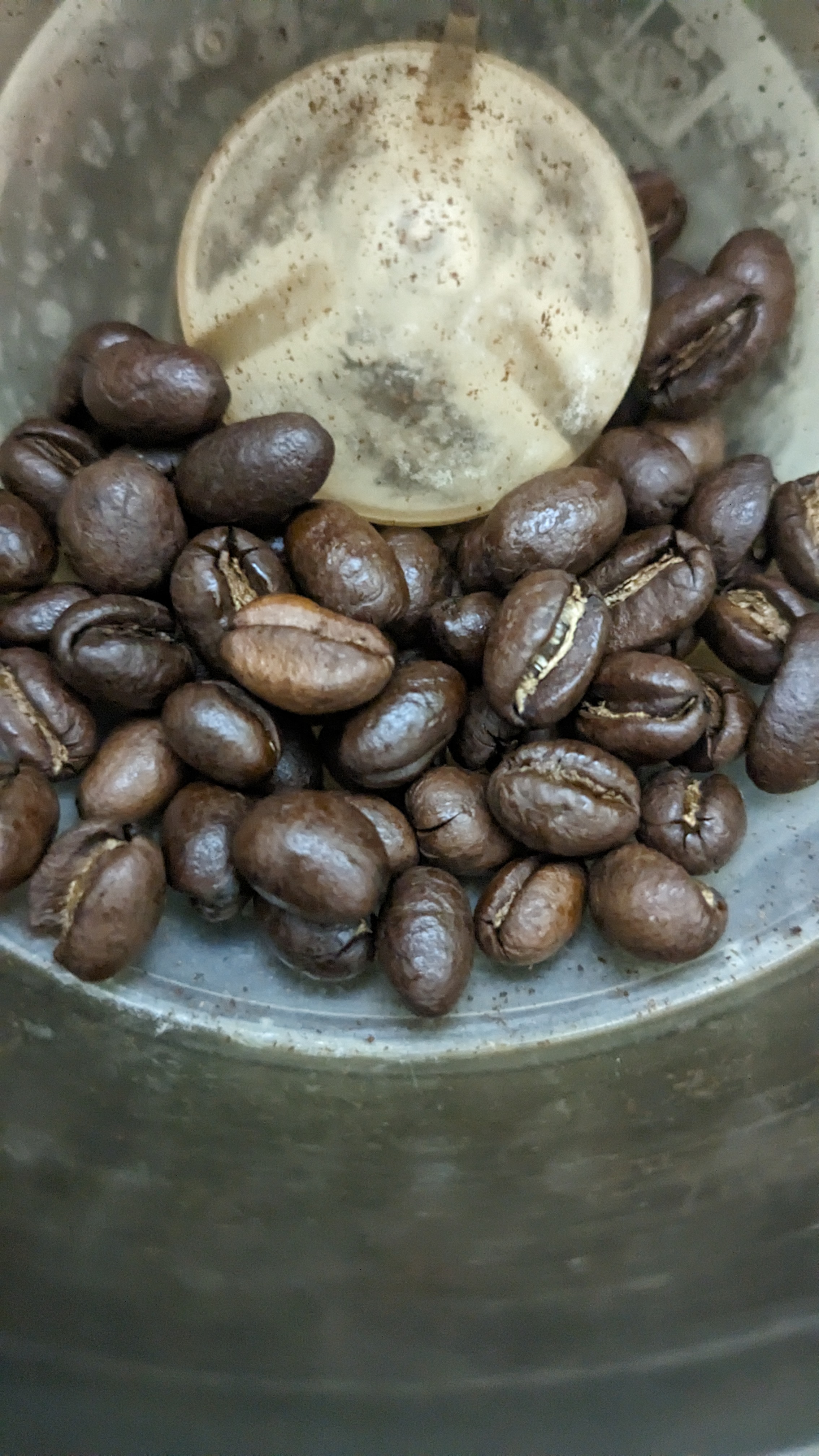 Peaberry coffee Peaberry coffee