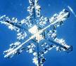 ice crystal - snow-winter-ice ice crystal - snow-winter-ice