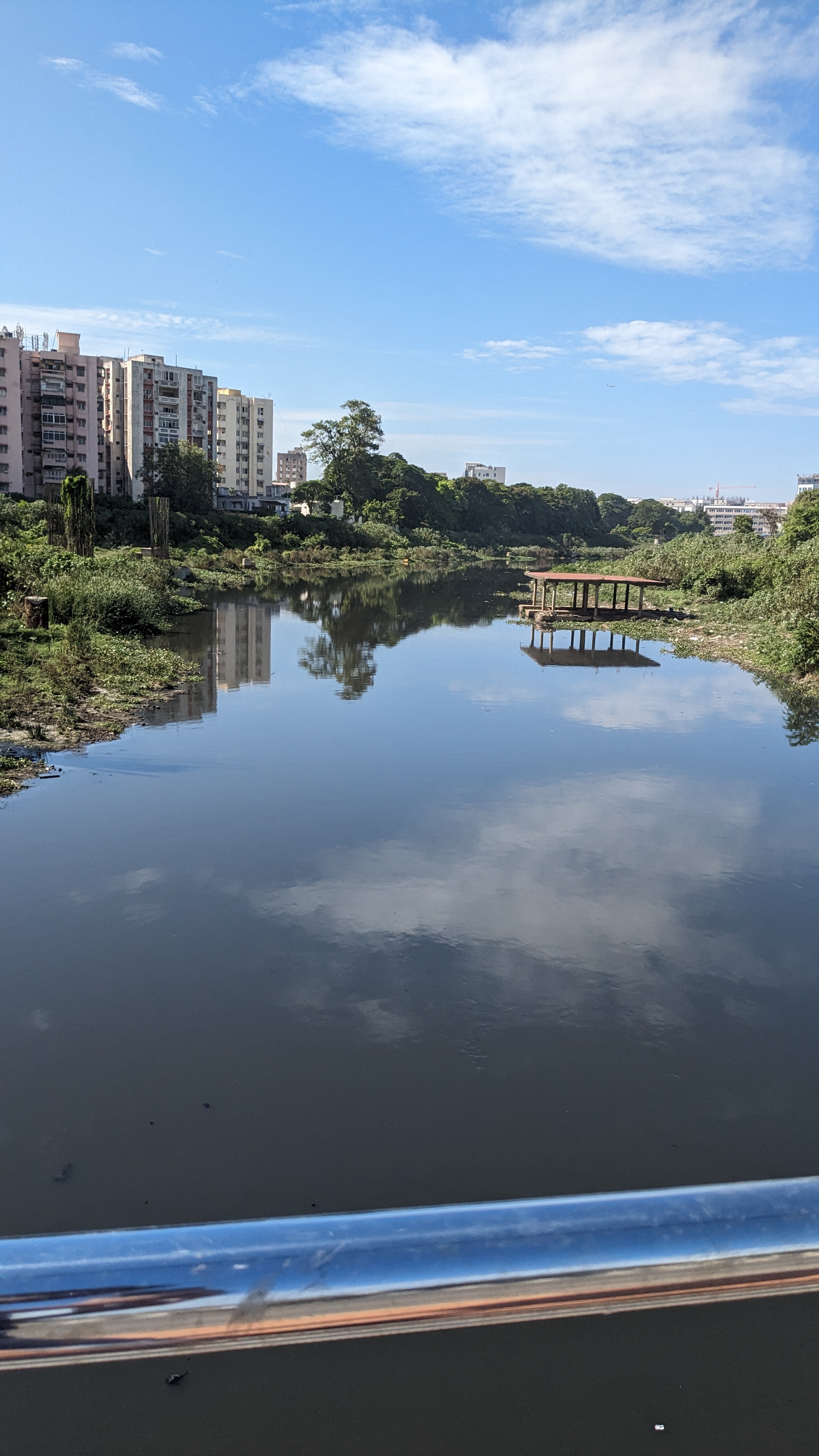 Polluted water body Polluted water body