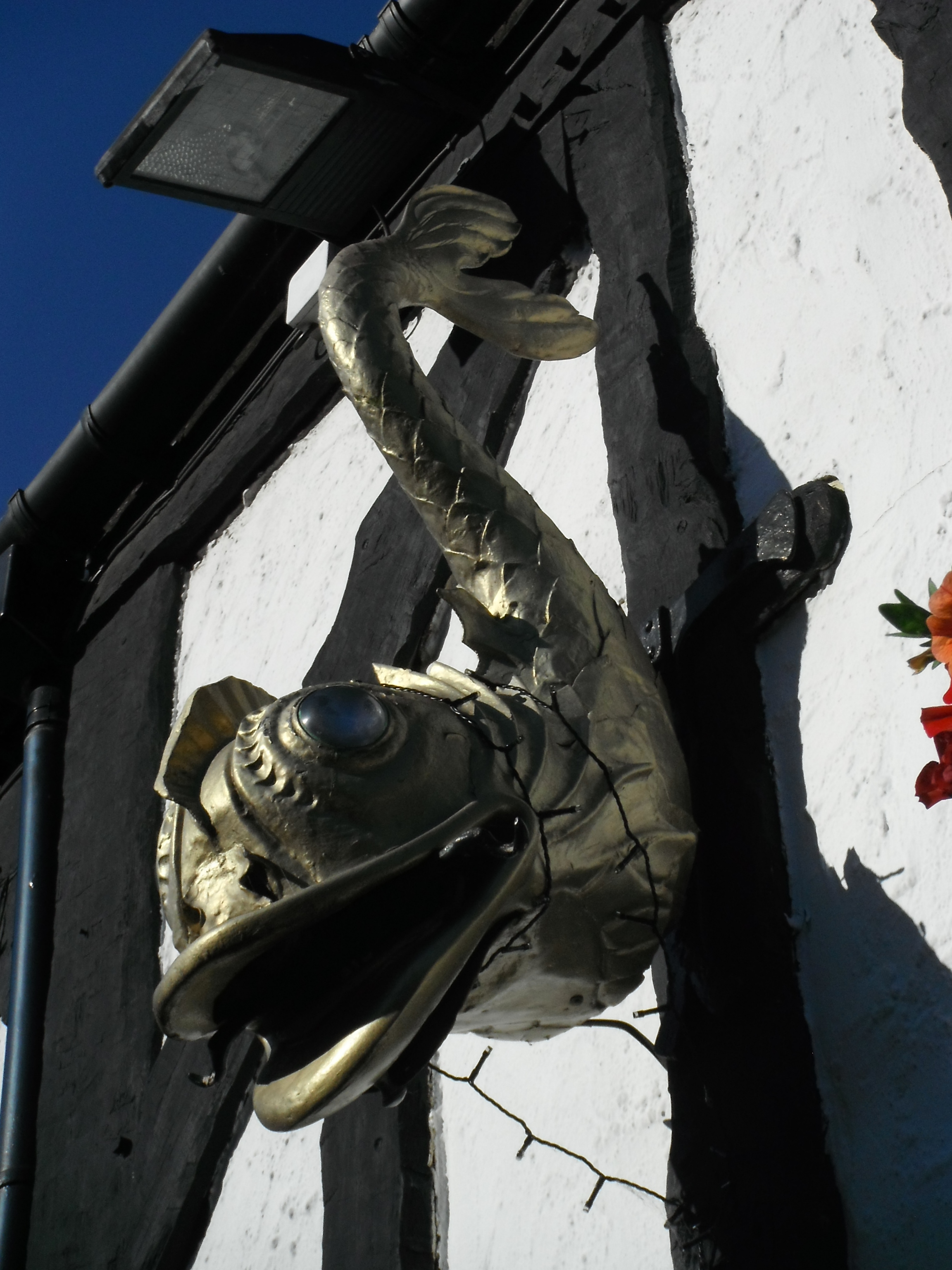 The Dolphin pub sign Derby, taken by me 