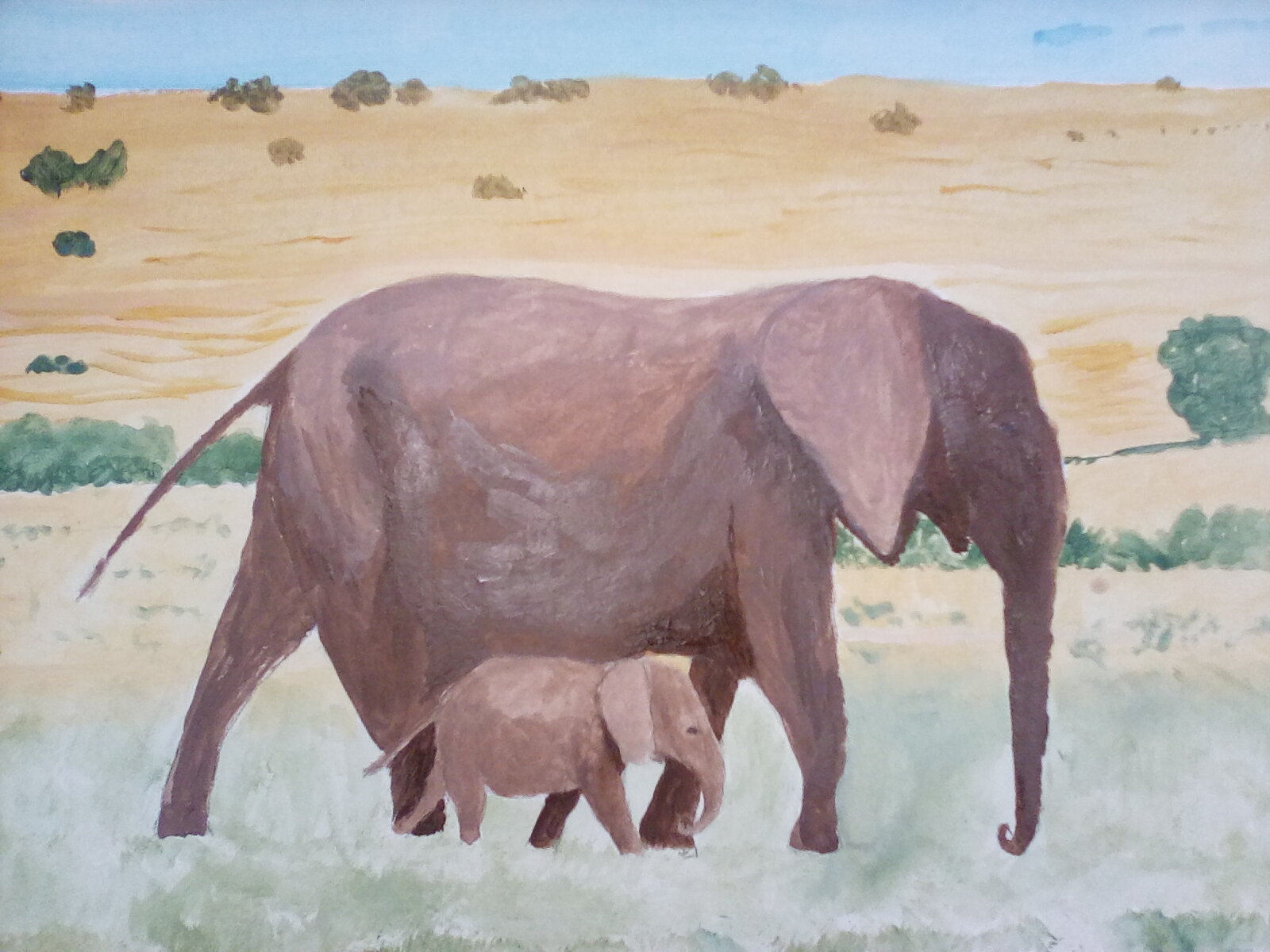 Mother and baby elephant in acrylic.