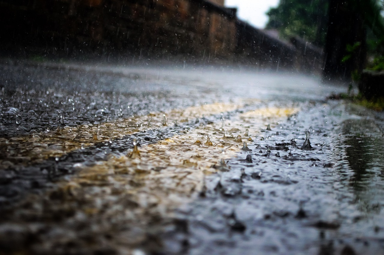 Rains Rains