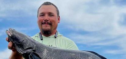 Angler Damien Cook with his northern snakehead fish in Maryland Angler Damien Cook with his northern snakehead fish in Maryland