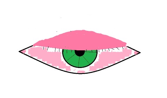 Created by me on Microsoft Paint