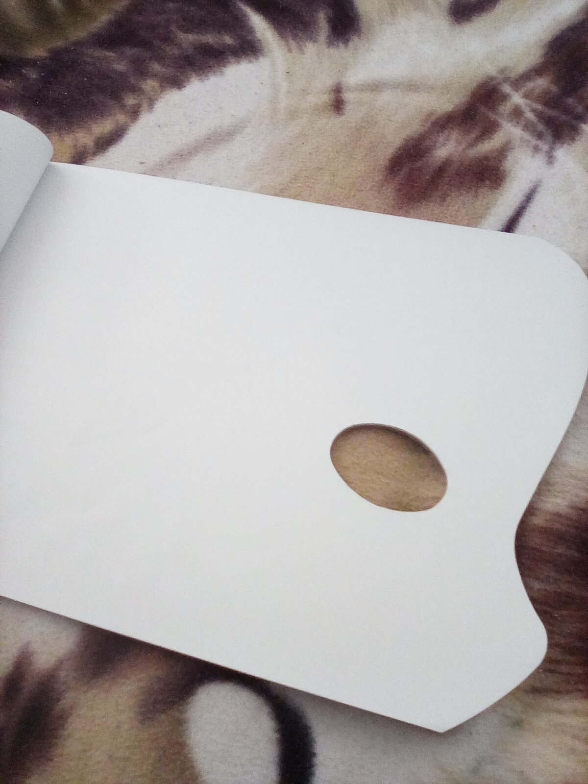 Acrylic palette pad. Acrylic palette pad.