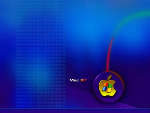 winxp - winxp