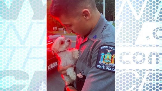 A NYSP officer with Glenn the dog in New York State