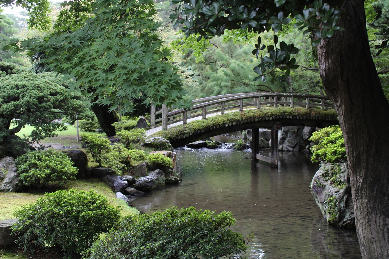 The Zen garden of the Zen master The Zen garden of the Zen master