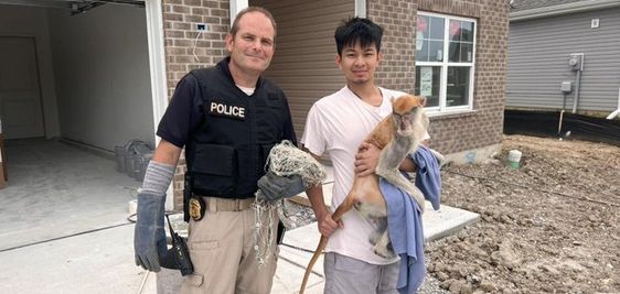 Indianapolis police officer and the brother of an owner of a monkey with Momo.. Indianapolis police officer and the brother of an owner of a monkey with Momo..