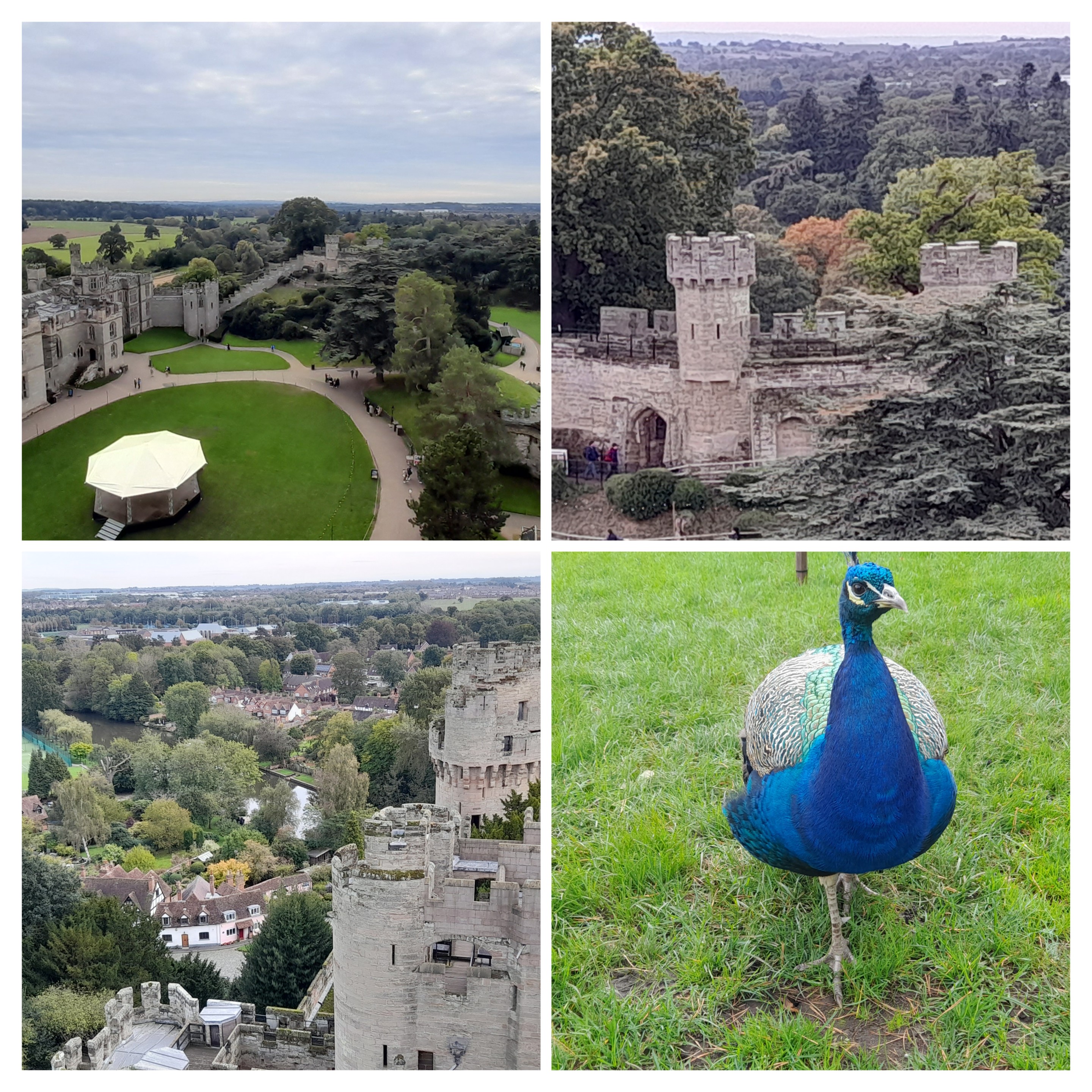 Warwick Castle Collage