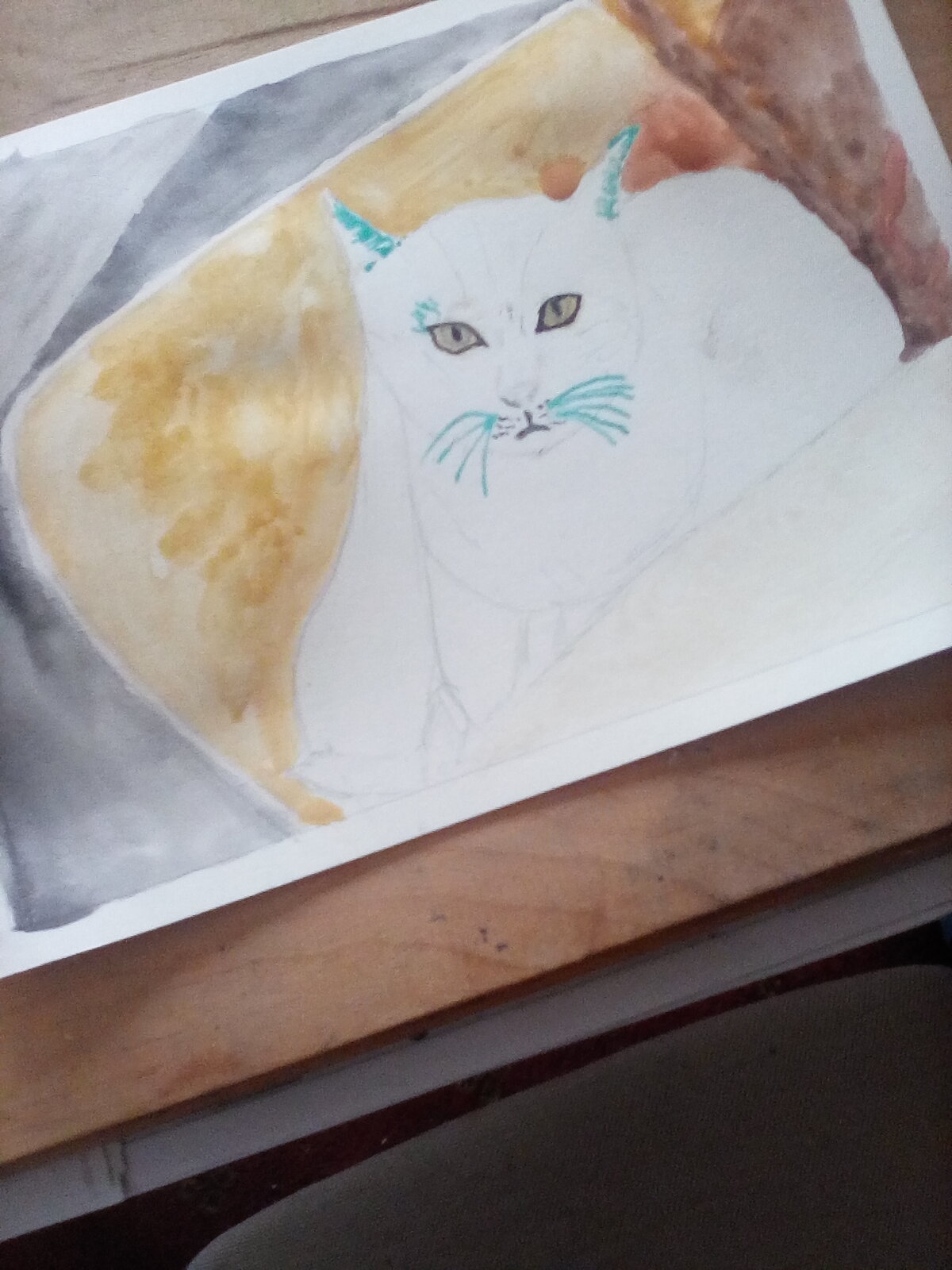 Kitty cat - a work in progress.